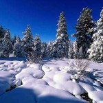 ЧС:  Готовимся к зиме — часть 1