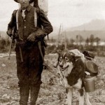 ЗНТ: Реалии похода с собакой
