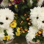Роль цветов для женщины