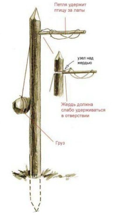 Столбик Оджибве 
